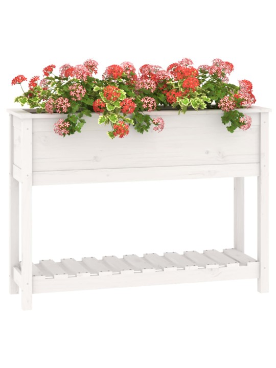 Truhlík s policí bílý 111,5 x 34,5 x 81 cm masivní borové dřevo