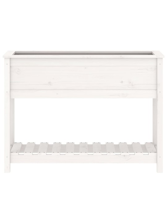 Truhlík s policí bílý 111,5 x 34,5 x 81 cm masivní borové dřevo