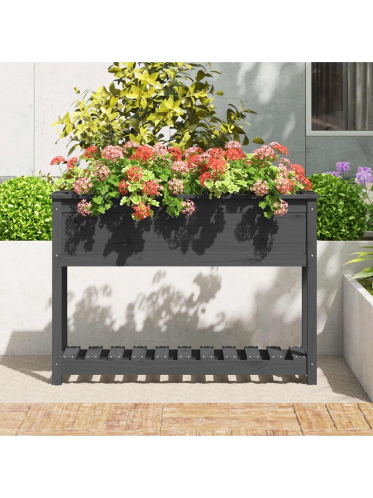 Truhlík s policí šedý 111,5 x 34,5 x 81 cm masivní borové dřevo