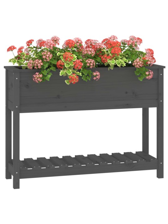 Truhlík s policí šedý 111,5 x 34,5 x 81 cm masivní borové dřevo