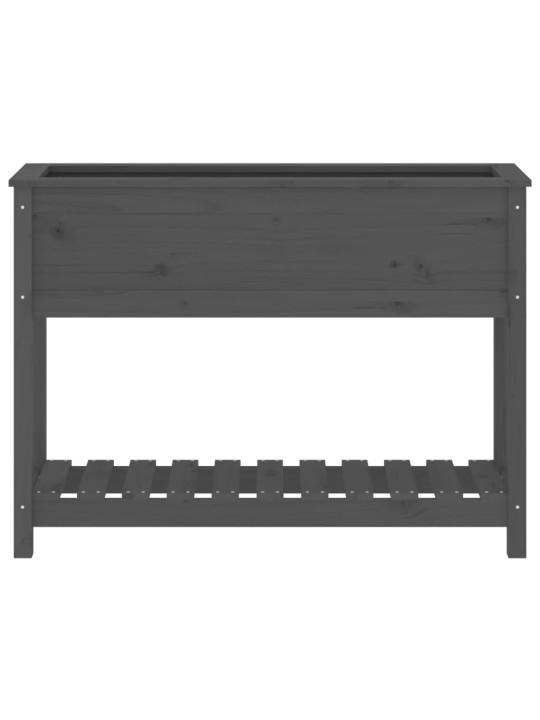 Truhlík s policí šedý 111,5 x 34,5 x 81 cm masivní borové dřevo