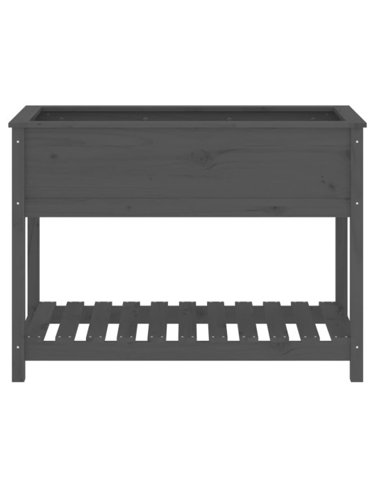 Truhlík s policí šedý 111,5 x 54 x 81 cm masivní borové dřevo