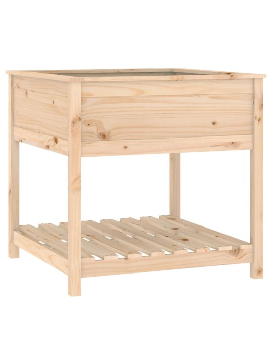 Truhlík s policí 82,5 x 82,5 x 81 cm masivní borové dřevo