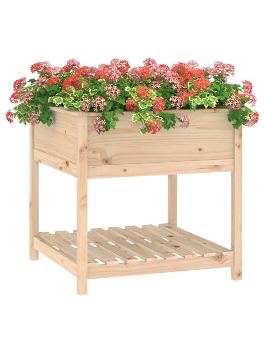 Truhlík s policí 82,5 x 82,5 x 81 cm masivní borové dřevo
