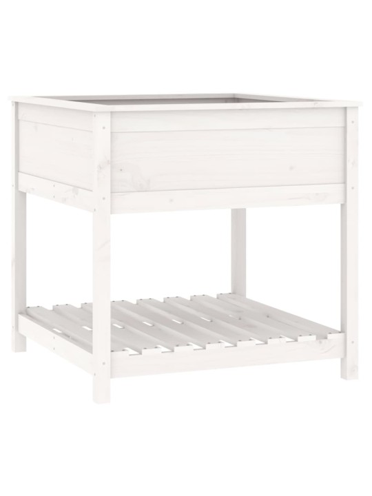 Truhlík s policí bílý 82,5 x 82,5 x 81 cm masivní borové dřevo