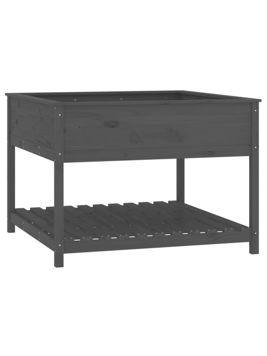 Truhlík s policí šedý 111,5x111,5x81 cm masivní borové dřevo