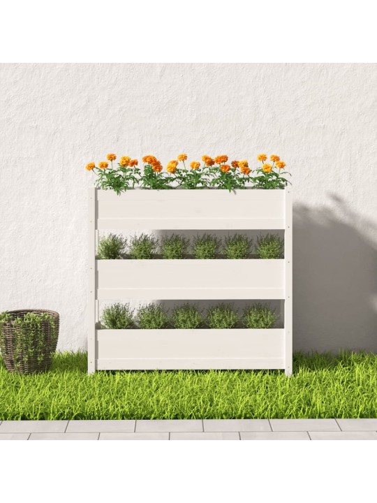 Truhlík bílý 112 x 25 x 104,5 cm masivní borové dřevo
