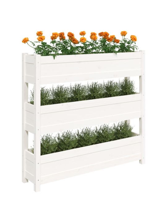 Truhlík bílý 112 x 25 x 104,5 cm masivní borové dřevo