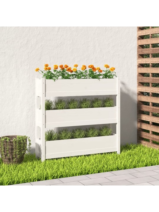 Truhlík bílý 112 x 25 x 104,5 cm masivní borové dřevo