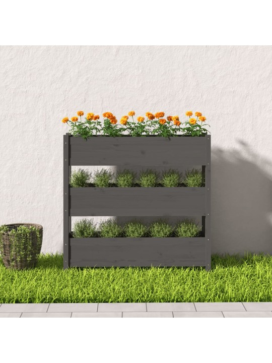 Truhlík šedý 112 x 25 x 104,5 cm masivní borové dřevo