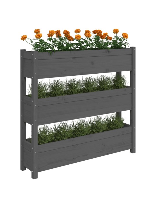 Truhlík šedý 112 x 25 x 104,5 cm masivní borové dřevo