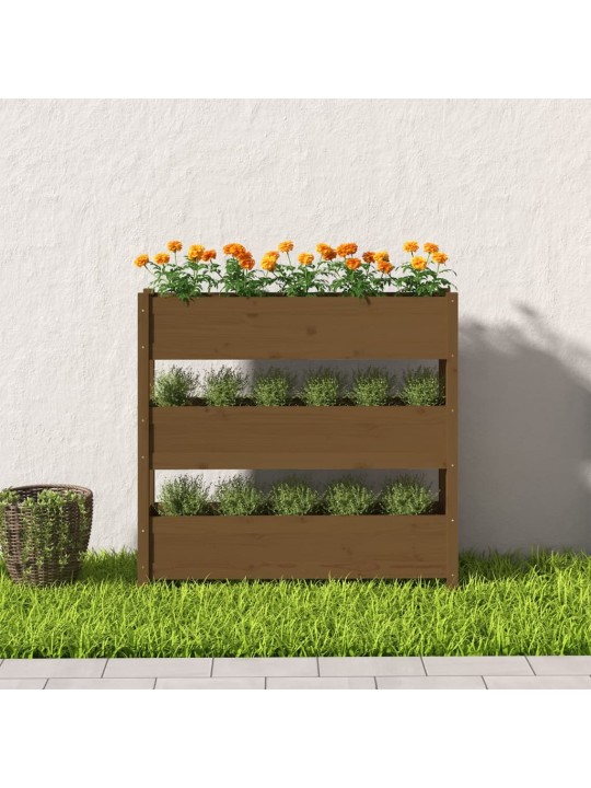 Truhlík medově hnědý 112 x 25 x 104,5 cm masivní borové dřevo