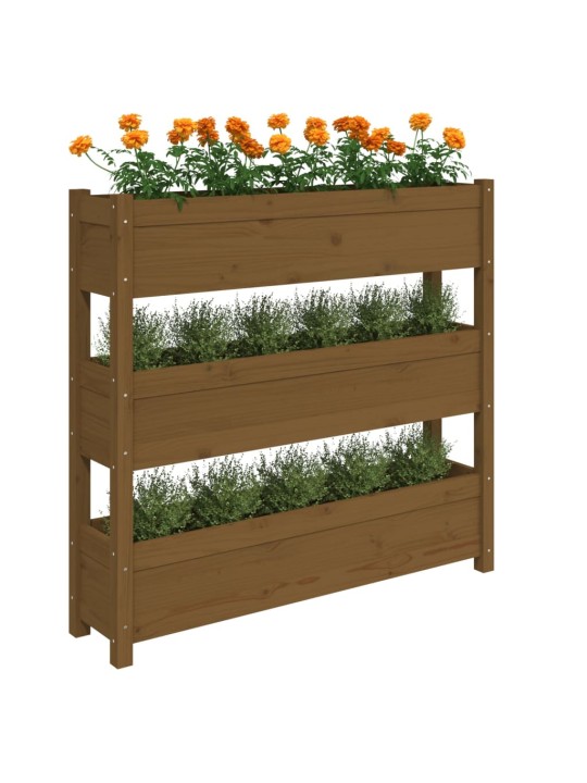 Truhlík medově hnědý 112 x 25 x 104,5 cm masivní borové dřevo