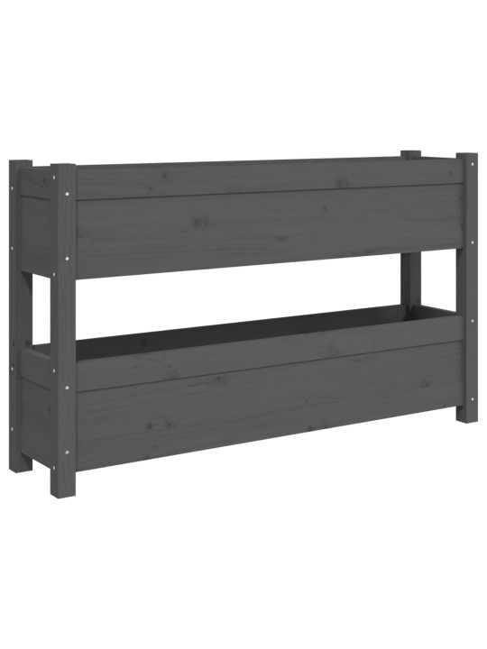 Truhlík šedý 112 x 25 x 66 cm masivní borové dřevo
