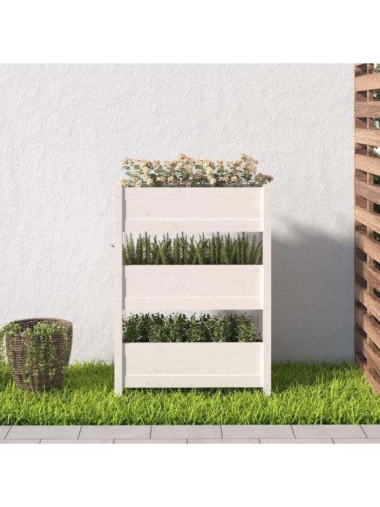 Truhlík bílý 77 x 25 x 104,5 cm masivní borové dřevo