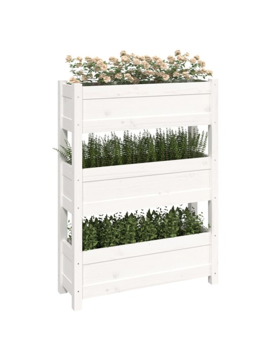 Truhlík bílý 77 x 25 x 104,5 cm masivní borové dřevo