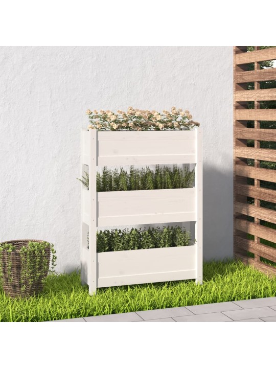 Truhlík bílý 77 x 25 x 104,5 cm masivní borové dřevo