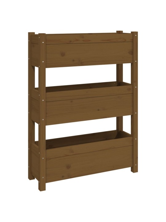 Truhlík medově hnědý 77 x 25 x 104,5 cm masivní borové dřevo