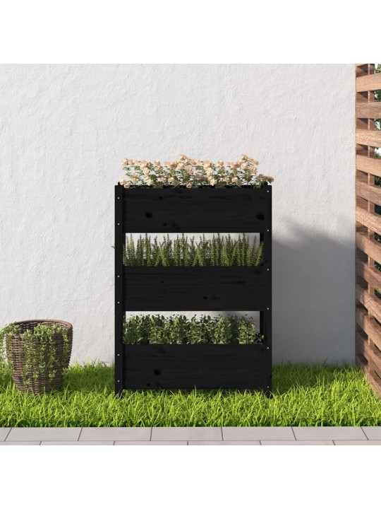 Truhlík černý 77 x 25 x 104,5 cm masivní borové dřevo