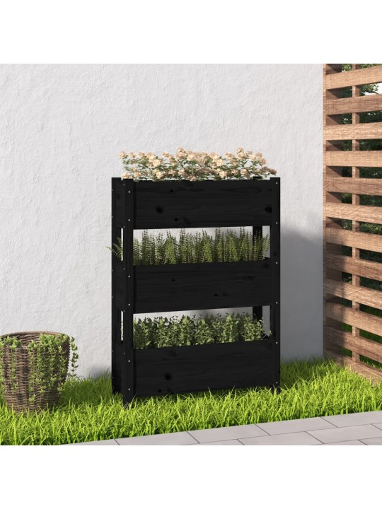 Truhlík černý 77 x 25 x 104,5 cm masivní borové dřevo