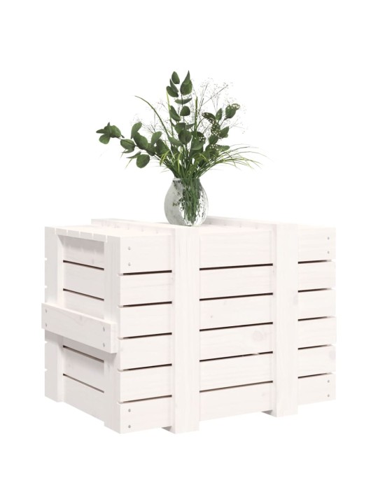 Úložný box bílý 58 x 40,5 x 42 cm masivní borové dřevo