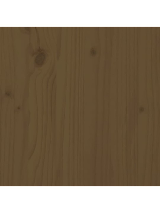 Zahradní box medově hnědý 101x50,5x46,5 cm masivní borové dřevo