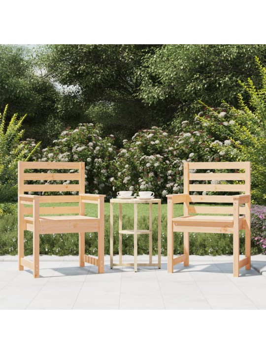 Zahradní židle 2 ks 60 x 48 x 91 cm masivní borové dřevo
