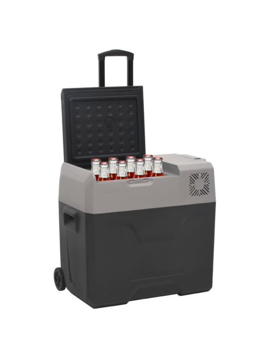 Chladicí box s kolečky a rukojetí černý a šedý 40 l PP