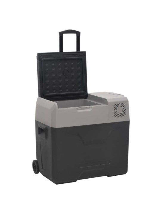 Chladicí box s kolečky a rukojetí černý a šedý 40 l PP