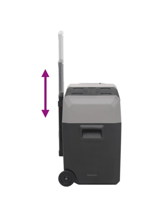 Chladicí box s kolečky a rukojetí černý a šedý 40 l PP