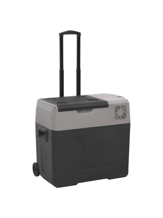 Chladicí box s kolečky a rukojetí černý a šedý 50 l PP