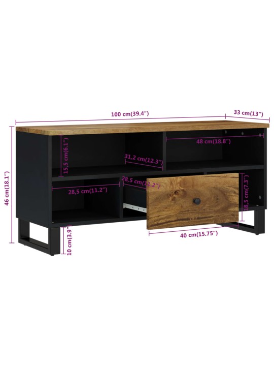 TV stolek 100 x 33 x 46 cm masivní mangovník a kompozitní dřevo