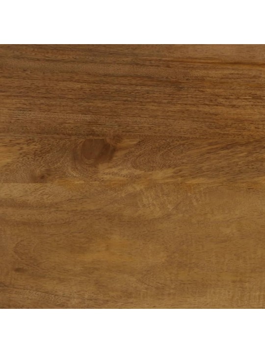 TV stolek 100 x 33 x 46 cm masivní mangovník a kompozitní dřevo