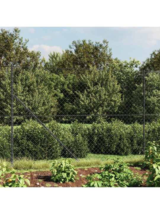 Drátěné pletivo antracitové 1,6 x 25 m