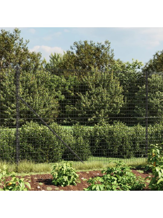 Drátěný plot s přírubami antracitový 1,6 x 25 m