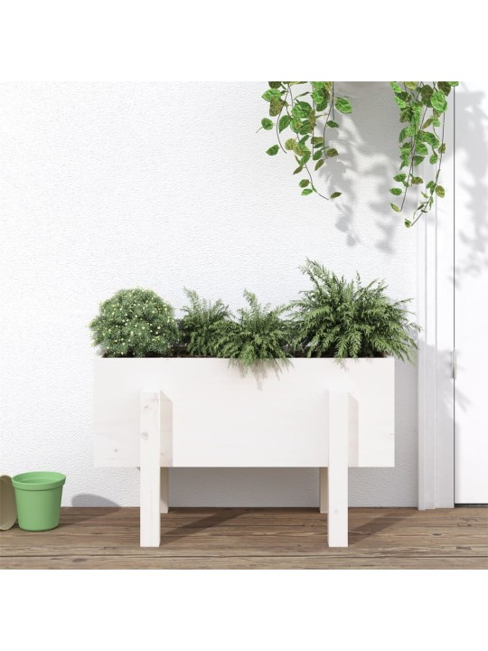 Zahradní truhlík bílý 62 x 30 x 38 cm masivní borové dřevo