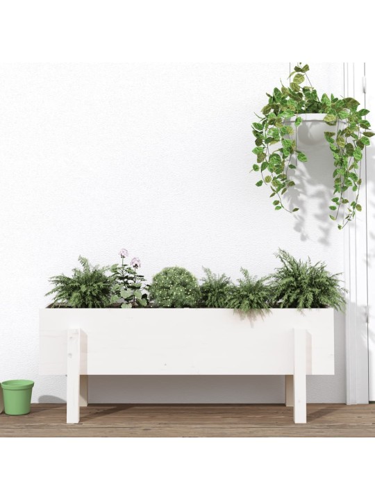 Zahradní vyvýšený záhon bílý 101 x 30 x 38 cm masivní borovice