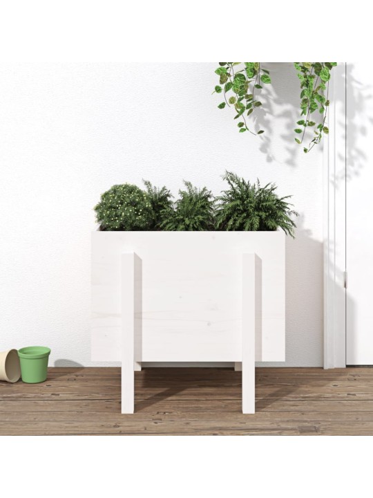 Zahradní truhlík bílý 62 x 50 x 57 cm masivní borové dřevo