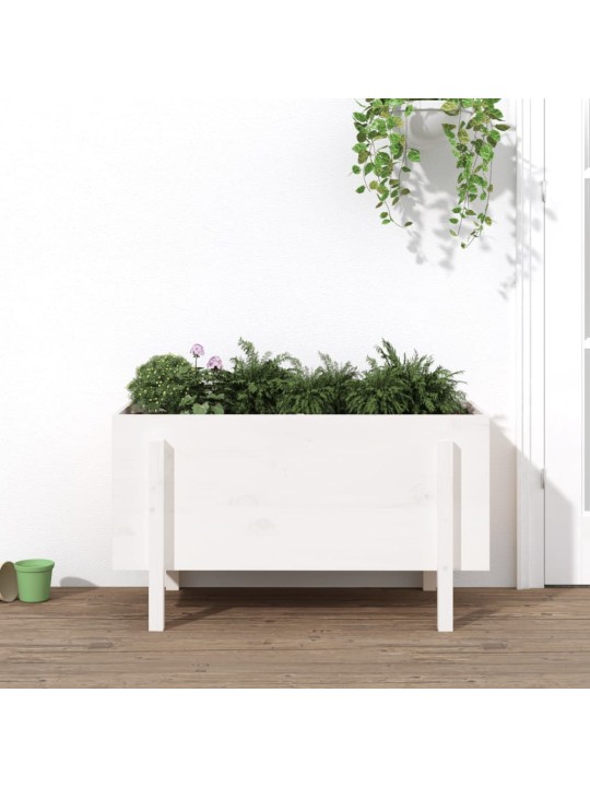Zahradní vyvýšený záhon bílý 101 x 50 x 57 cm masivní borovice