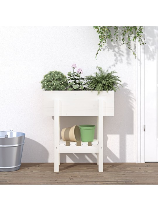 Zahradní truhlík bílý 62 x 30 x 69 cm masivní borové dřevo