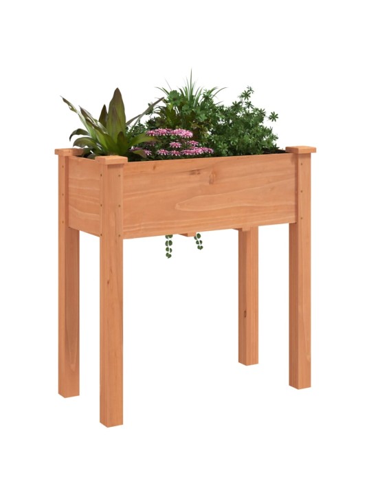 Truhlík s vložkou hnědý 71 x 37 x 76 cm masivní jedlové dřevo