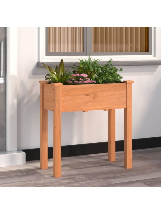 Truhlík s vložkou hnědý 71 x 37 x 76 cm masivní jedlové dřevo