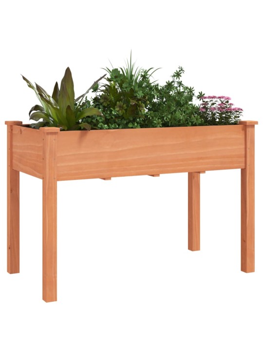 Truhlík s vložkou hnědý 118 x 59 x 76 cm masivní jedlové dřevo