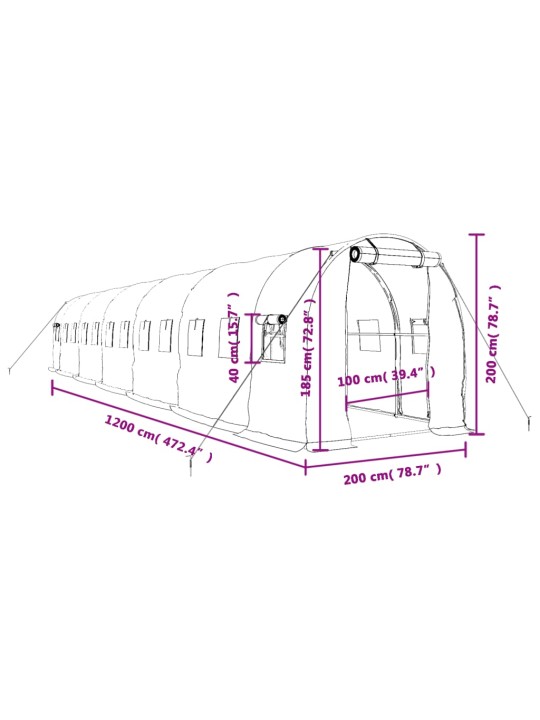 Skleník s ocelovým rámem zelený 24 m² 12 x 2 x 2 m