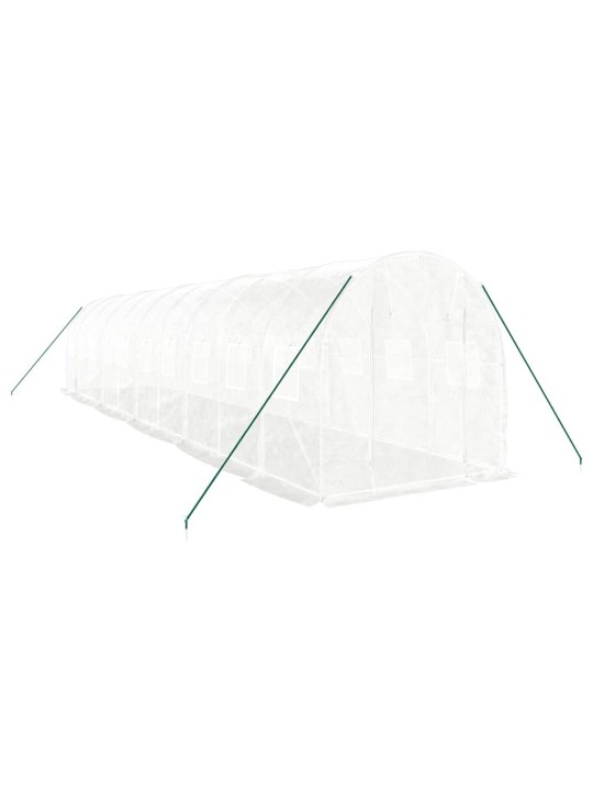 Skleník s ocelovým rámem bílý 20 m² 10 x 2 x 2 m