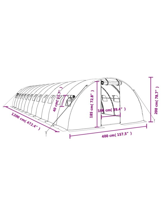 Skleník s ocelovým rámem zelený 48 m² 12 x 4 x 2 m