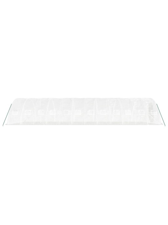 Skleník s ocelovým rámem bílý 60 m² 12 x 5 x 2,3 m