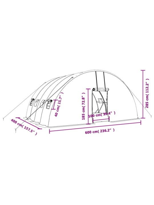 Skleník s ocelovým rámem zelený 24 m² 6 x 4 x 2,85 m