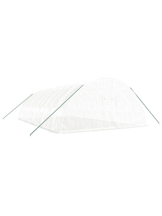 Skleník s ocelovým rámem bílý 60 m² 10 x 6 x 2,85 m