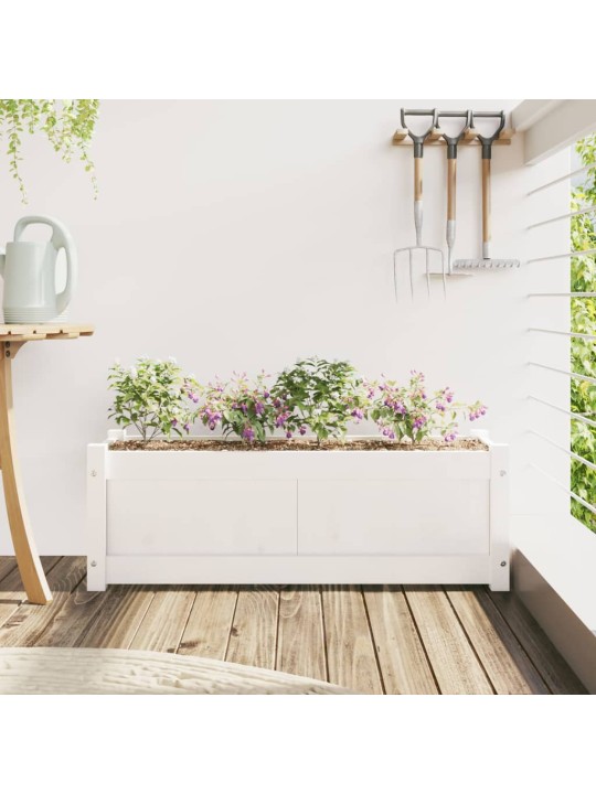 Zahradní truhlík bílý 90 x 31 x 31 cm masivní borové dřevo